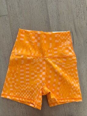 **NWT** AERIE OFFLINE 4 inch Bike Shorts